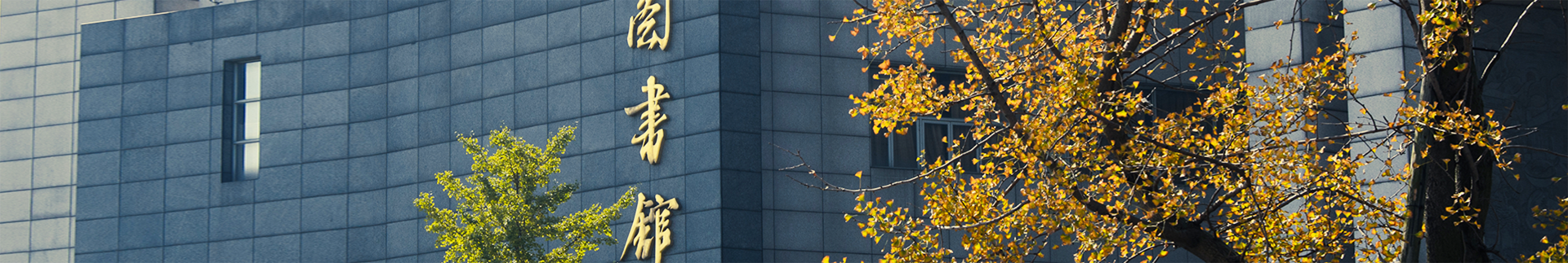肉漫banner